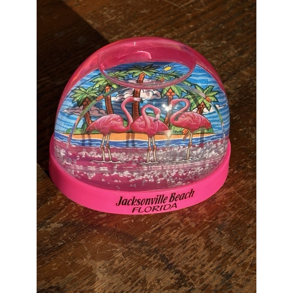 Vtg Florida Jacksonville Florida Snowglobe Snowdome Plastic Pink Souvenir